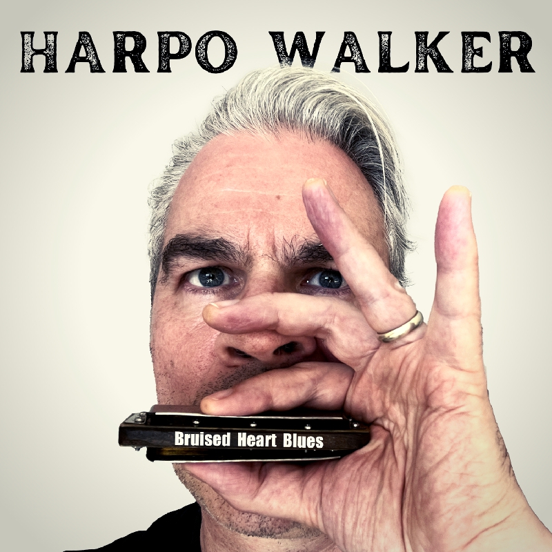 HarpoWalker-BruisedHeart